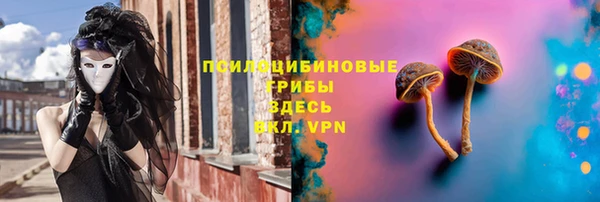 мяу мяу мука Алексин